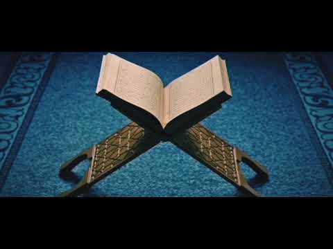 ولو شئنا لرفعناه بها ولكنه أخلد إلى الأرض واتبع هواه فمثله كمثل الكلب إن تحمل عليه 176 الأعراف