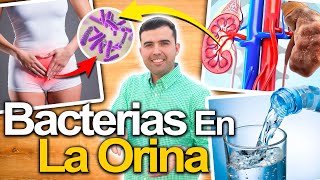 Elimina Las Bacterias De Tu Orina - Cómo Eliminar El Mal De Orin, Infecciones Urinarias Naturalmente