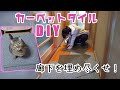 【怪我防止】猫のために廊下にカーペットを敷き詰める！簡単DIYで猫様大喜び間違いなし