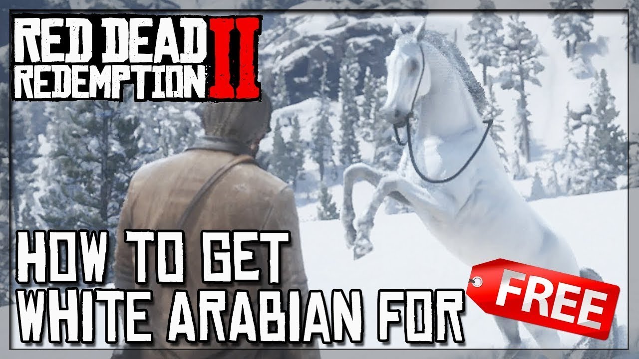 Red Dead Redemption 2 - How to get the Arabian White Horse - YouTube