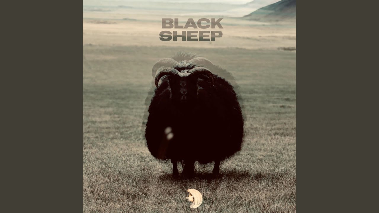 Watch Black Sheep on YouTube Watch Black Sheep on YouTube
