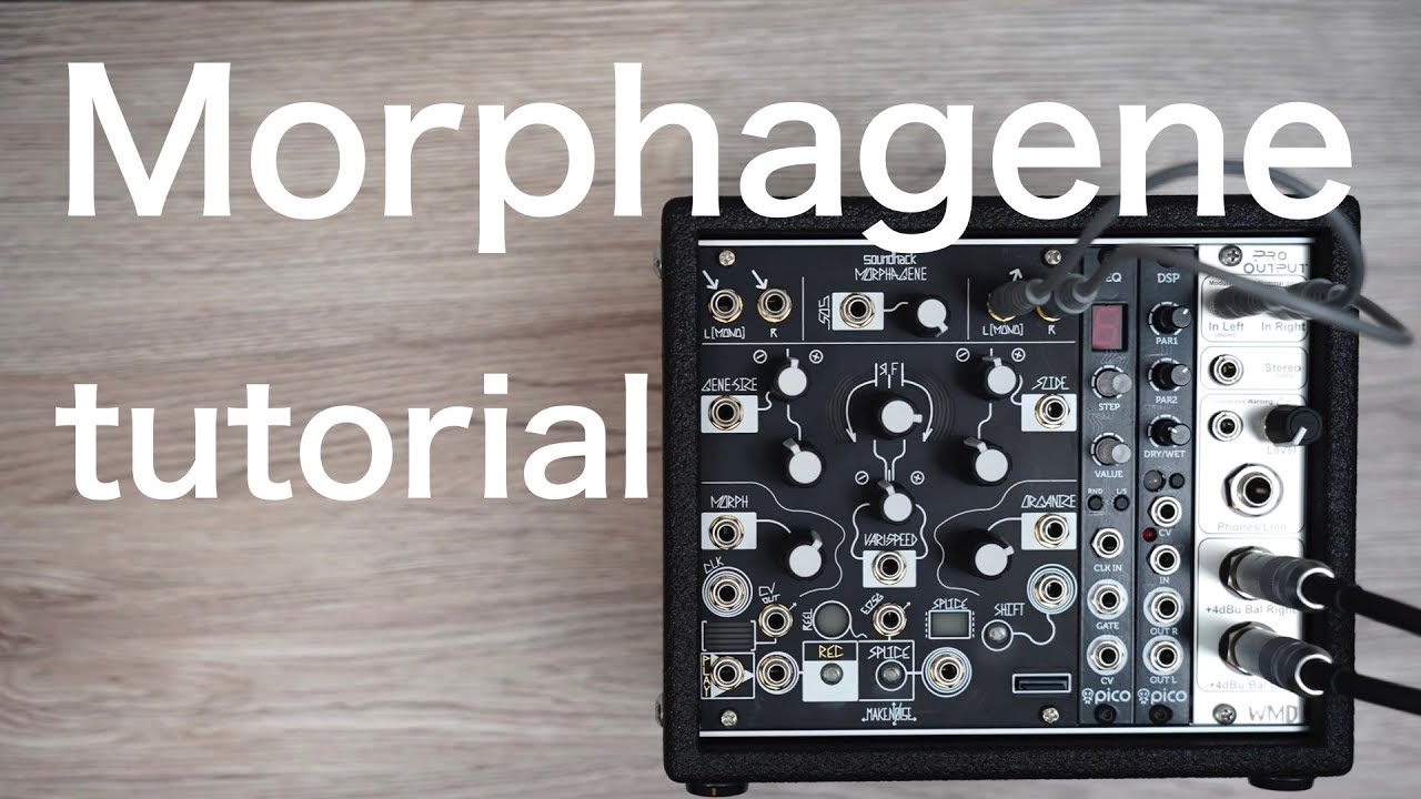 Make noise Morphagene | Video tutorial