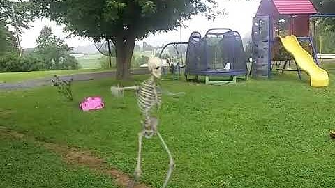 FxGuru Video skeleton dancing