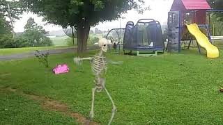 FxGuru Video skeleton dancing