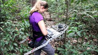 Measuring forest structure through the lidar lens