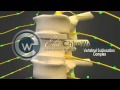 Chiropractic Educational Videos | Chiropractic Websites | Elite Chiro Websites