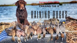 (NEW2020) BEST DUCK HUNT OF OUR LIFES! screenshot 1