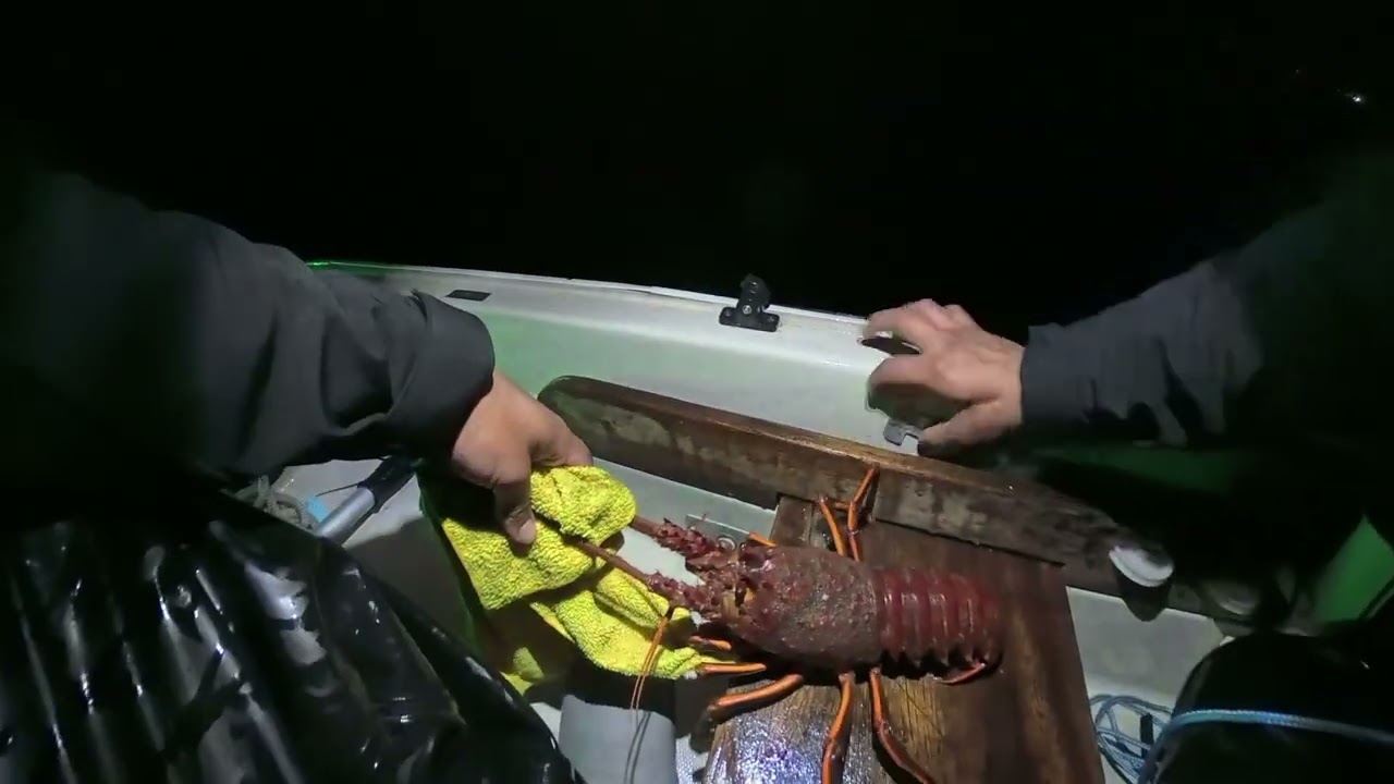 Solo Lobster fishing In Socal (Santa Monica Bay) 2025