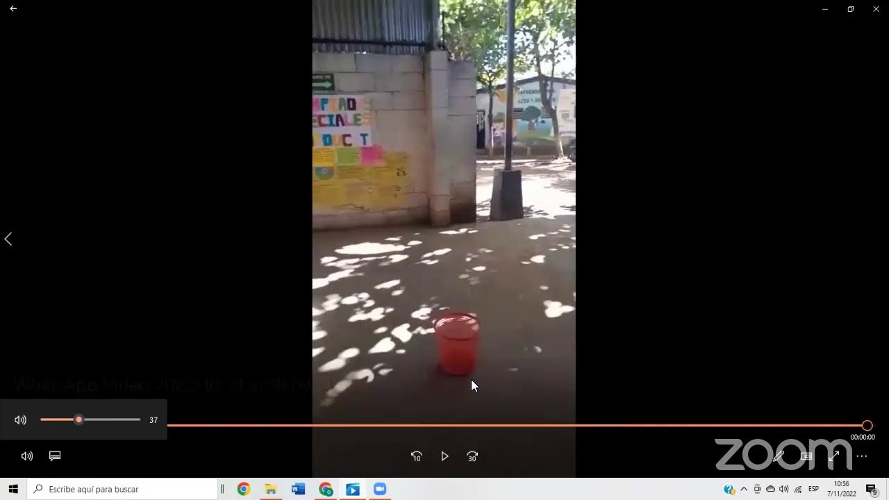 Demostración Vivencial Virtual Zona Occidental 2022