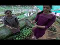 VISITED IISR APPANGALA COORG|IMPORTANT INFORMATION IISR CHANDRA BLACK PEPPER