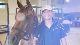 LMU Equine Veterinary Education Program