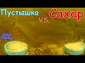 🐟 Реакция РЫБЫ на САХАР. Подводное видео, батл-эксперимент VS пустышка. Плотва, лещ, красноперка.