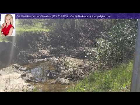 2010 Bradshaw Dr., Tyler, TX home video tour