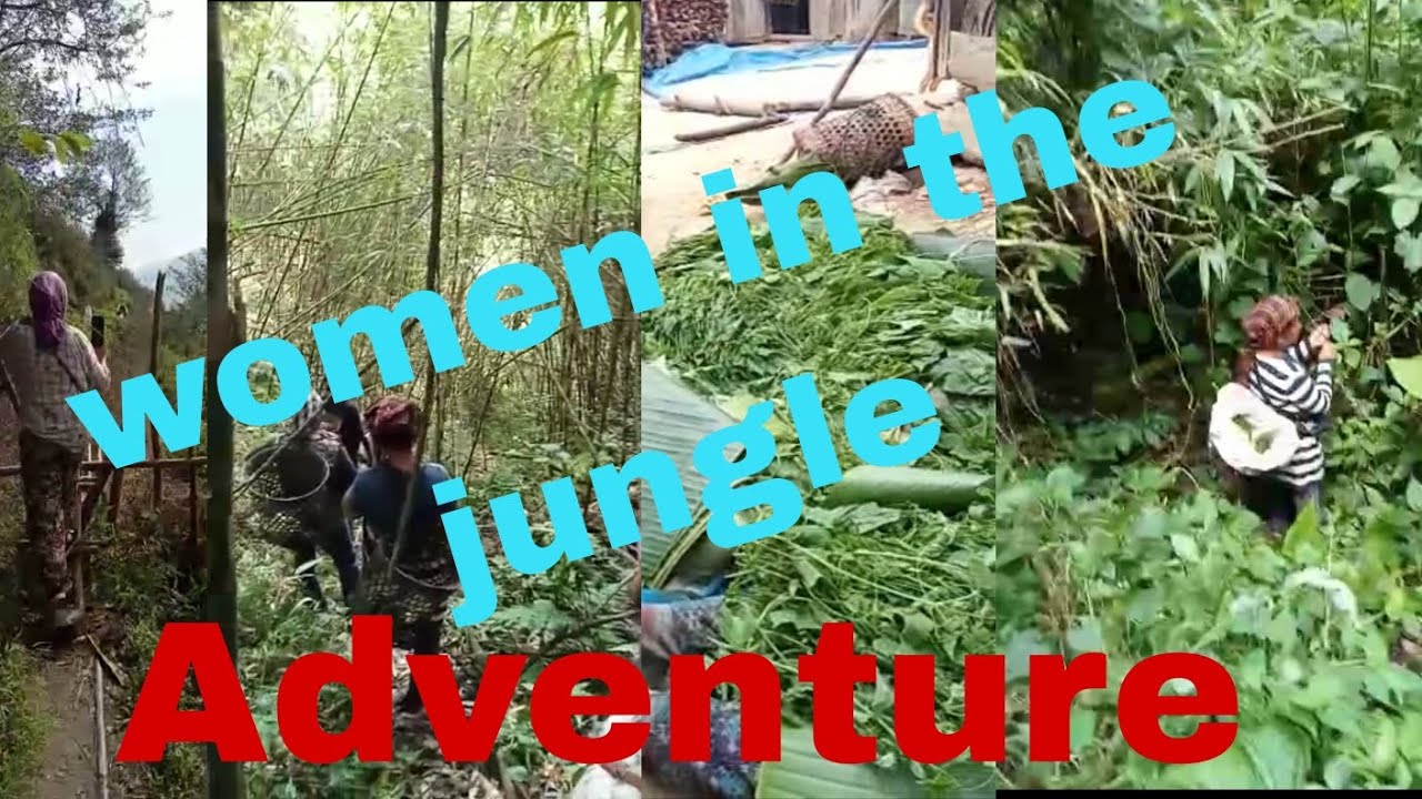 Women In The Jungle Hunting GreensForest of Yehemi Village Under