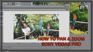 How to use Pan and Zoom in Sony Vegas Pro -  Tutorial #7 Wealth