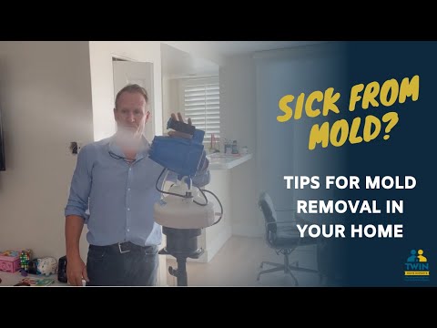 Sick From Mold Symptoms? | Tips For Removal