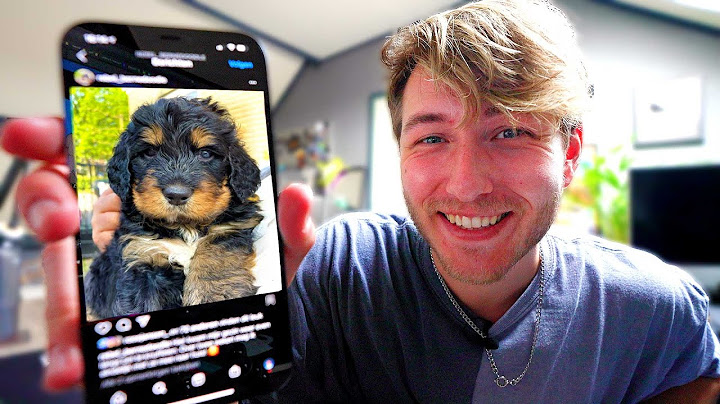 Wij krijgen een puppy!