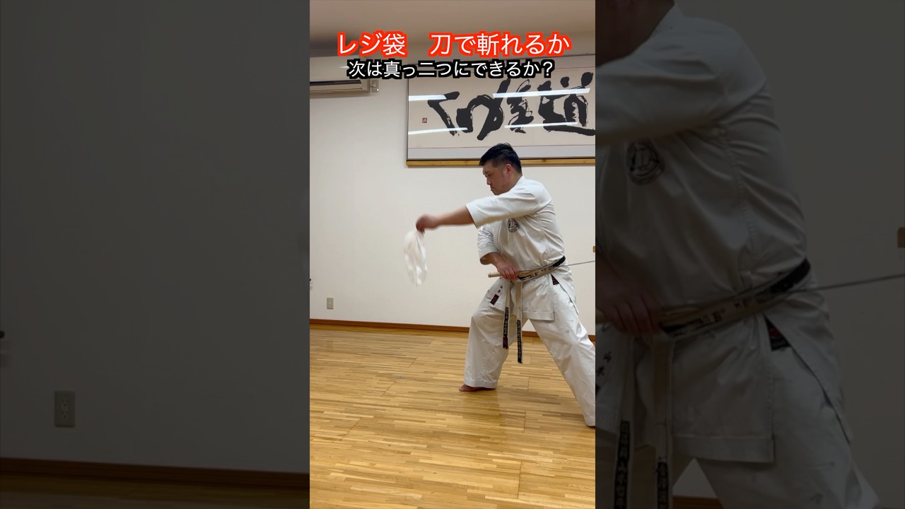 【武道・武術】レジ袋を日本刀で真っ二つにすることはできるか!?空手家 山本哲平の挑戦!!#aikido #karate #martial #武道 #空手#筋トレ