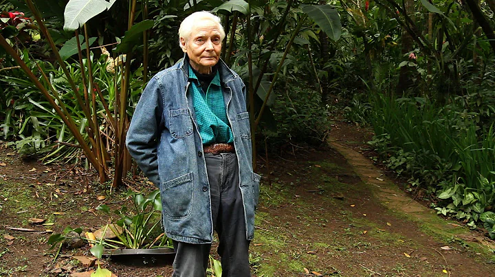 W. S. Merwin reads 'Rain Light'