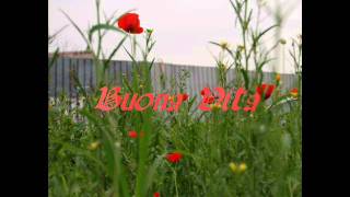 Download Lagu Buona Vita - Ornella Vanoni MP3