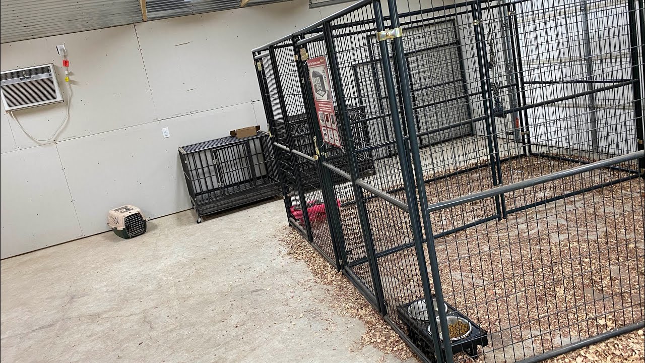 Dirty Red Kennels introduction video YouTube
