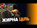 🔥ГОДУЮТЬ РИБ. МІНУС КІЛЬКА ДЕСЯТКІВ ОКУПАНТІВ? На ЗНИЩЕНИХ КАТЕРАХ могло бути ПІВ СОТНІ росіян