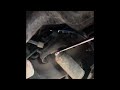 Silverado Front Shock Replacement gmt800