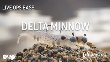Live Ops Adjusta Ball Tungsten System – Ultimate Control Over Your Soft Plastics | DELTA minnow