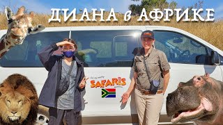 Диана в Африке: моя поездка в ЮАР, 2022