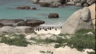 Afrique du Sud 2015