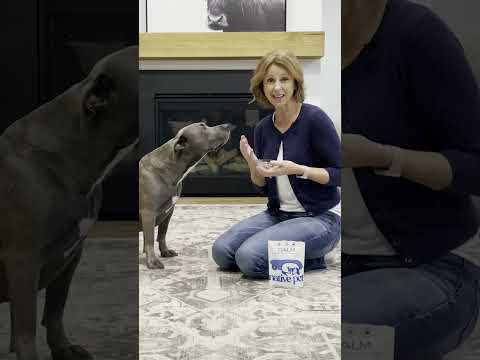 Video: Trucs om je dove hond te trainen