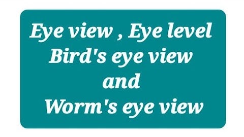 Birds eye view worms eye view là gì
