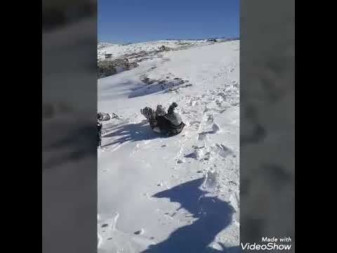 يا صاحبي يا رفيق العمر