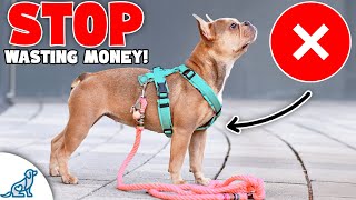 Don't Waste Your Money On These 9 'Dog Training Tools'