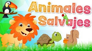 Los ANIMALES SALVAJES en español para niños con sonidos