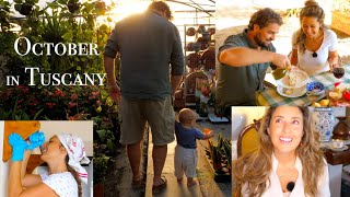 RENOVATING A RUIN: Finishing My Dream Bathroom, Tasting Our Olive Oil, Gardening & a Chat (Ep 46) by Kylie Flavell 126,175 views 7 months ago 38 minutes