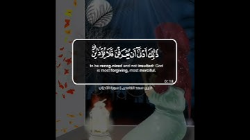 سعد الغامدي حالات واتس اب دينية سورة الأحزاب 🥺🦋