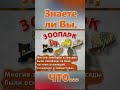 Знаете ли Вы, Что? Зоопарк