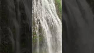 Narada Falls 🏔️💦 Washington #waterfallhike #waterfall #mountrainier