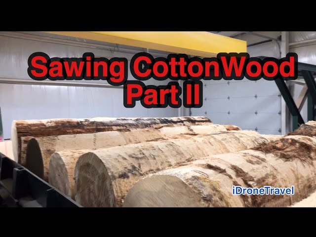 Saw Mill || Sawing Cottonwood || Part II || Logs || USA Factory || Technology Saw Mill || Sawing Cottonwood || Part II || Logs || USA Factory || Technology