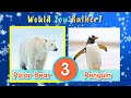Winter Activity Choices Quiz
