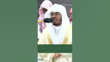 وما تشاءون إلا أن يشاء الله ~ تلاوة بتحبير خاشع للشيخ ياسر الدوسري - التلاوة كاملة بالوصف