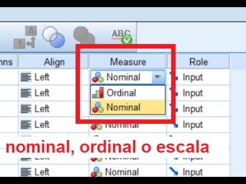 Video: ¿Qué es la medida en SPSS?