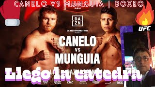 CANELO ALVAREZ VS JAIME MUNGUIA: Cebreros no come cuentos