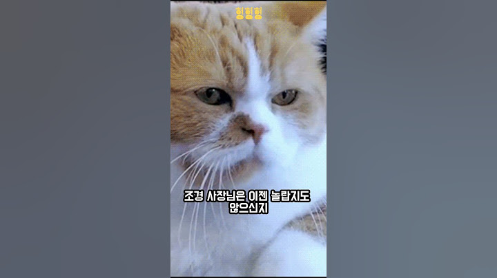 출구없는 매력 그녀  평창동 정원에 원시인 #shorts