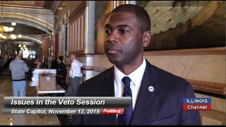 LaShawn Ford on Chicago Mayor Lightfoot's Lobbying in Springfield