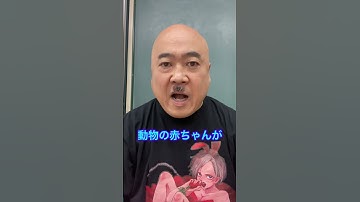 動物系動画あるある5DB芸人ナッパ芸人ぴっかり高木 #動物 #動物園 #あるある #あるある動画 #db芸人 #ナッパ #ぴっかり高木 #ナッパ芸人 #nappa #ドラゴンボール芸人 #animal