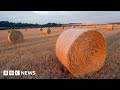 The technology trying to make farming more sustainable  bbc news