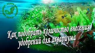 Как подобрать количество внесения удобрений для аквариума