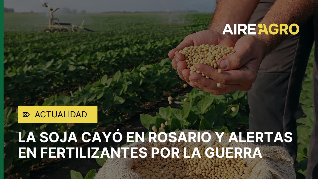LA SOJA CAYÓ en ROSARIO:  alertas en el AGRO mientras suben los FERTILIZANTES POR LA GUERRA🌾📉